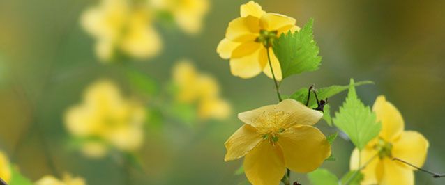 浅川胃腸科外科